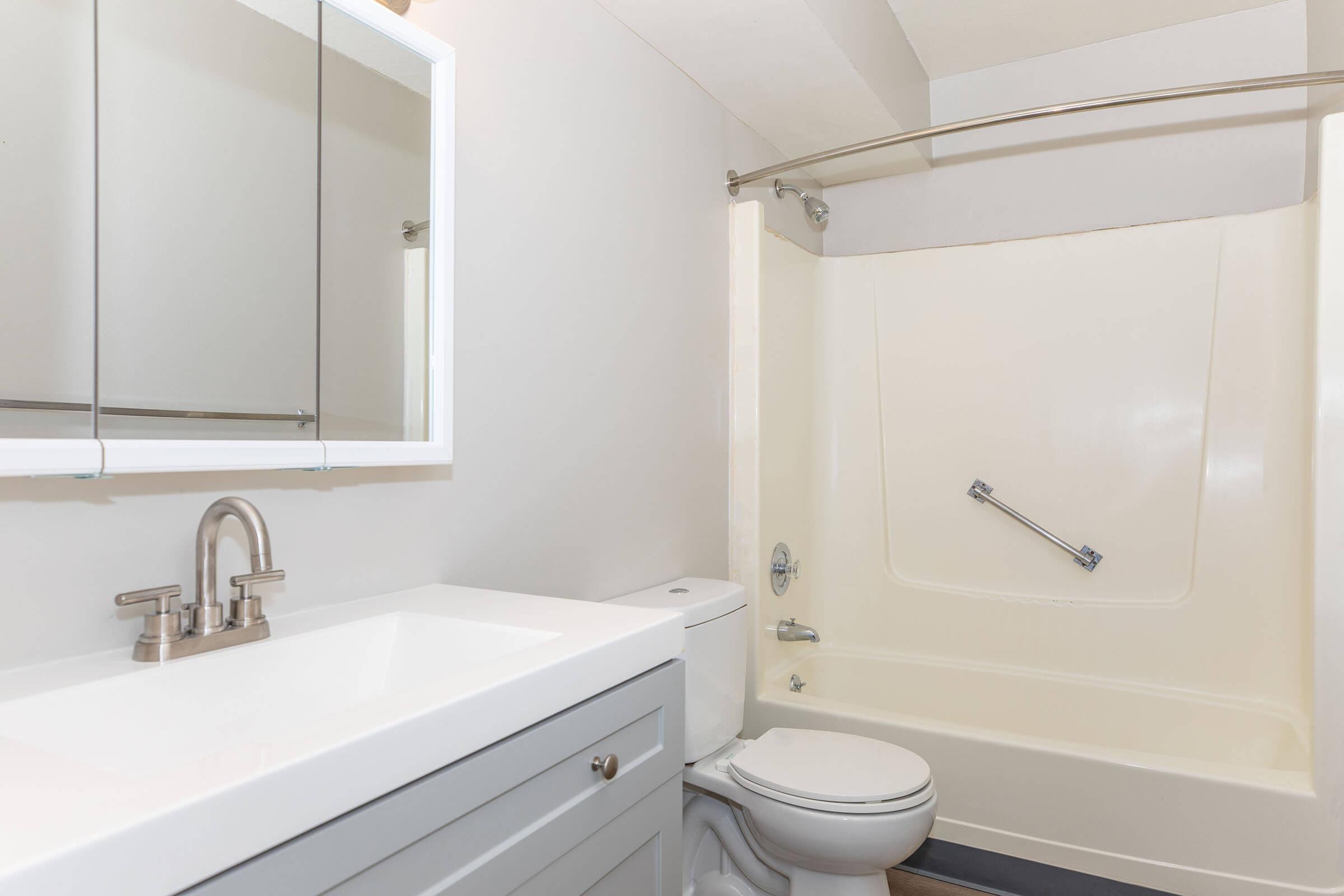 a shower that has a sink and a mirror