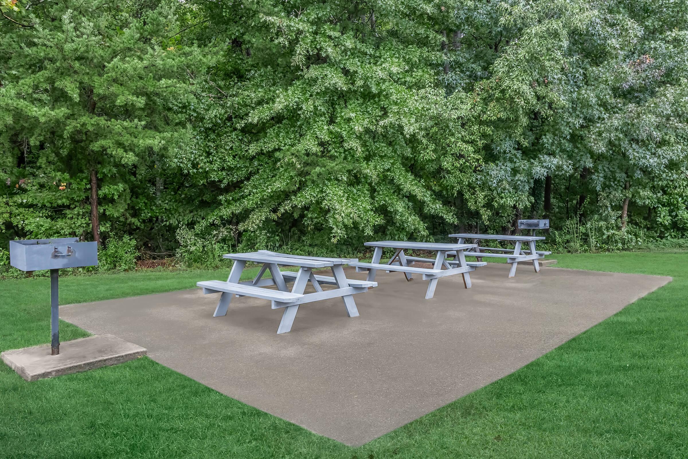 an empty park bench next to a tree