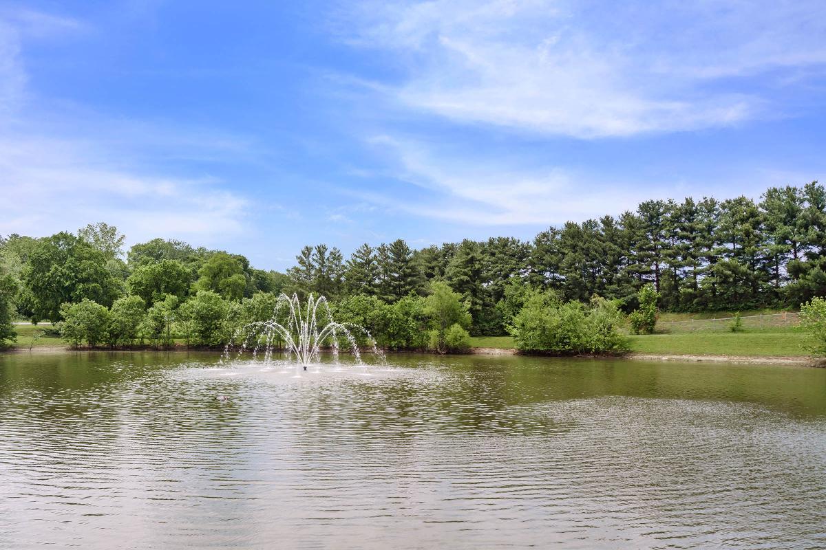 Fishing Pond With Fountain