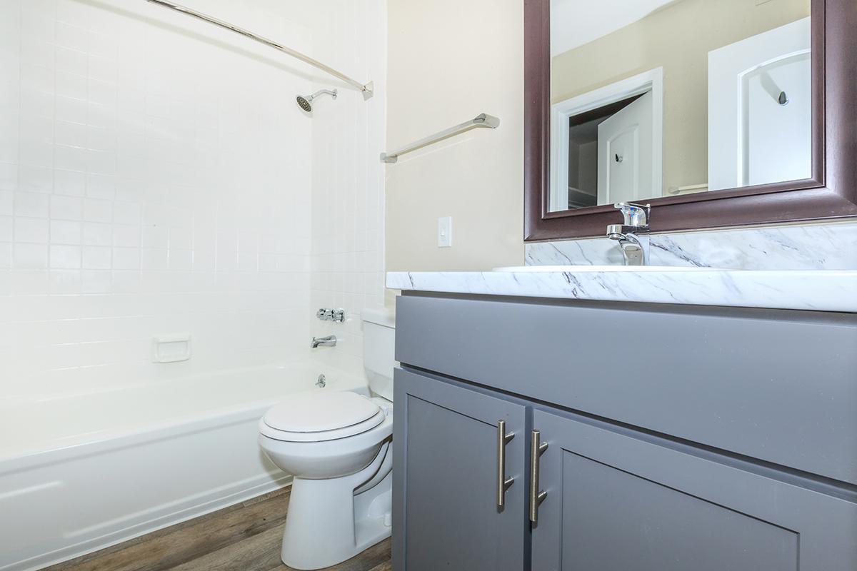 Wilmington Bathroom at Chelsea Place in Murfreesboro, TN