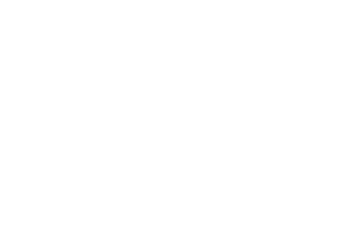 Chelsea Place ebrochure logo