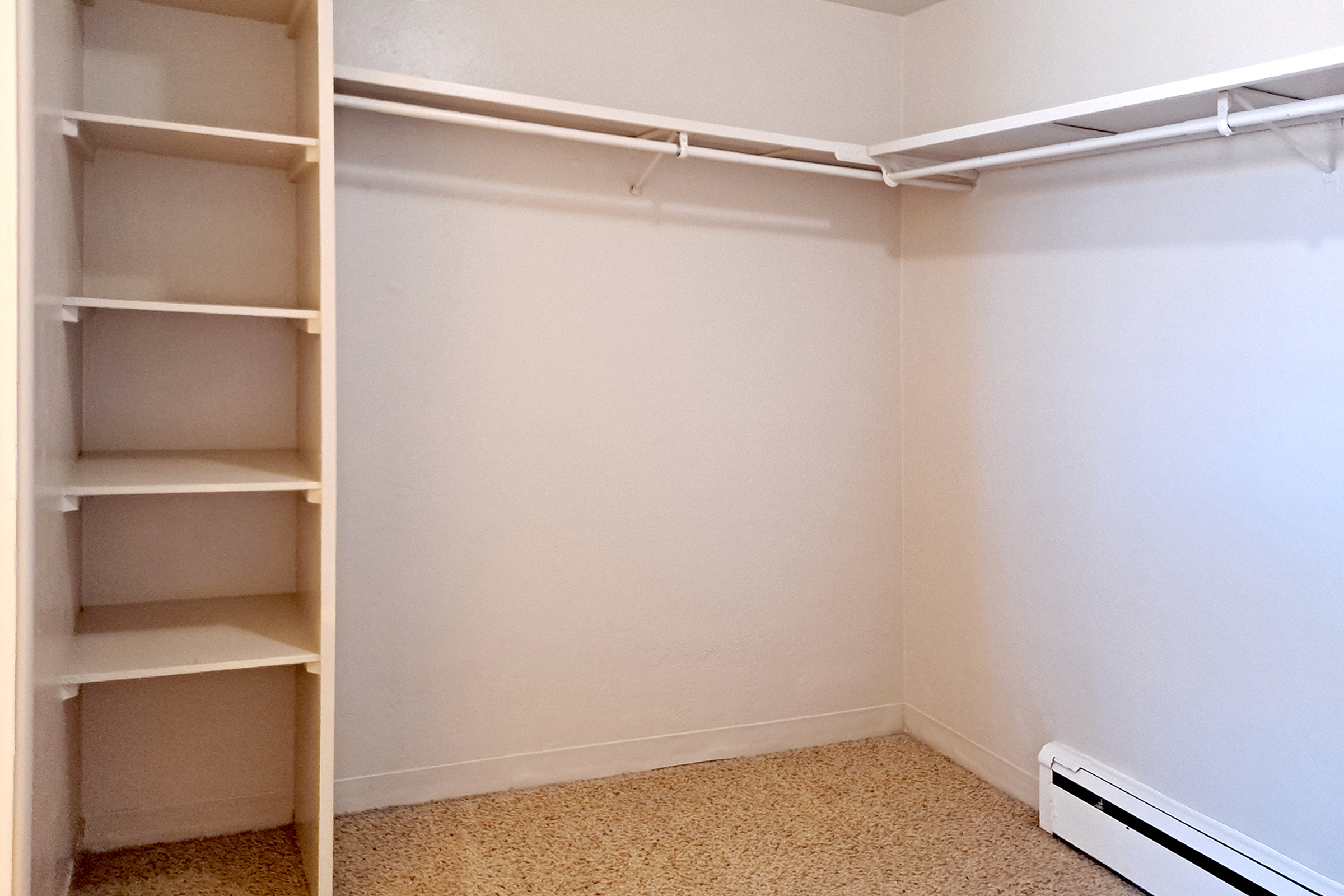 An empty closet featuring white shelves on the left and a hanging rod on the right, with beige carpet flooring and light-colored walls. The space is well-lit and uncluttered, providing a simple, organized storage area.