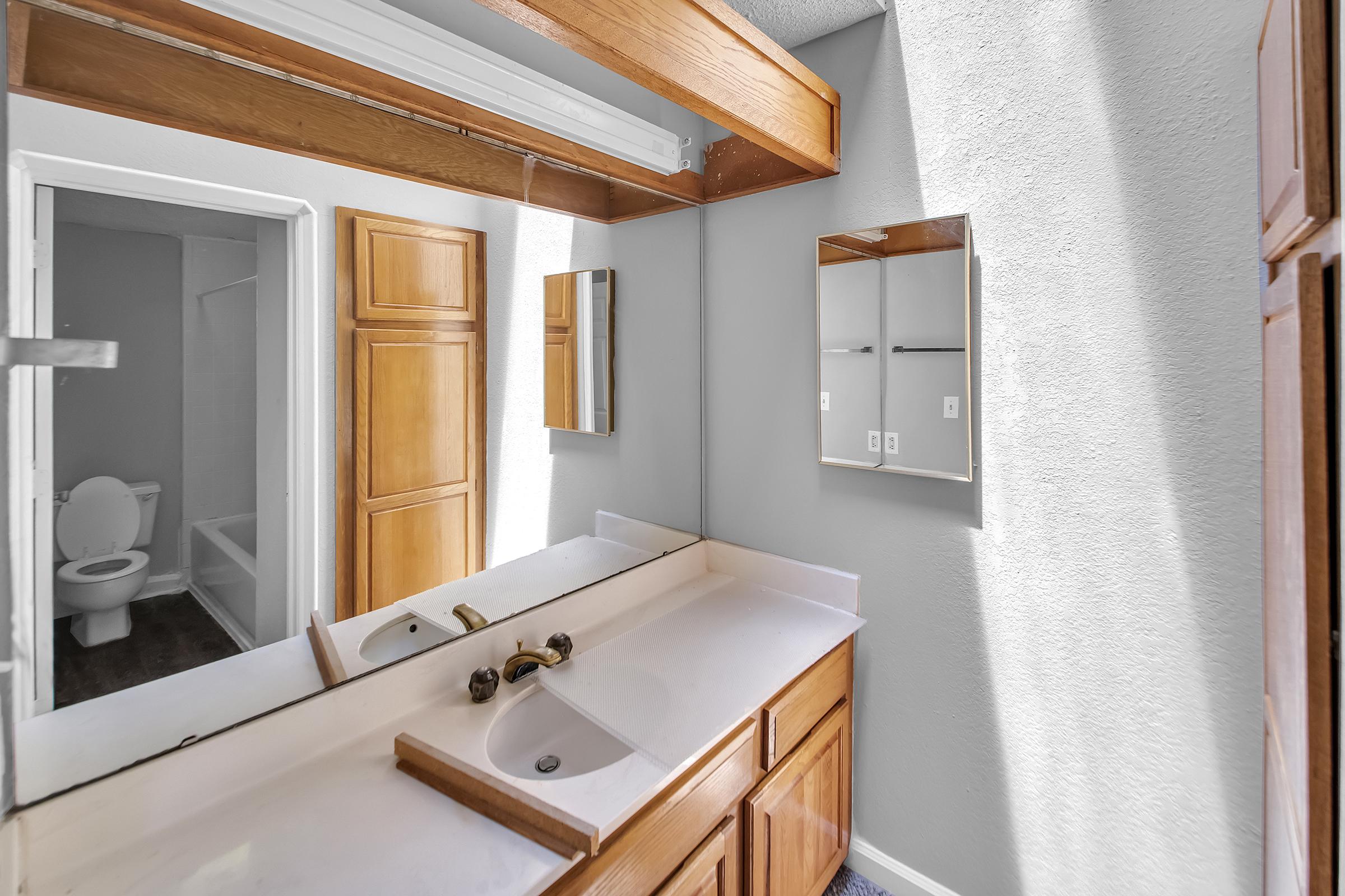 A well-lit bathroom featuring a double sink vanity with wooden cabinets, a large mirror above the sinks, and a separate toilet area visible in the background. The walls are painted light gray, and the flooring is dark. Natural light illuminates the space, creating a clean and modern look.