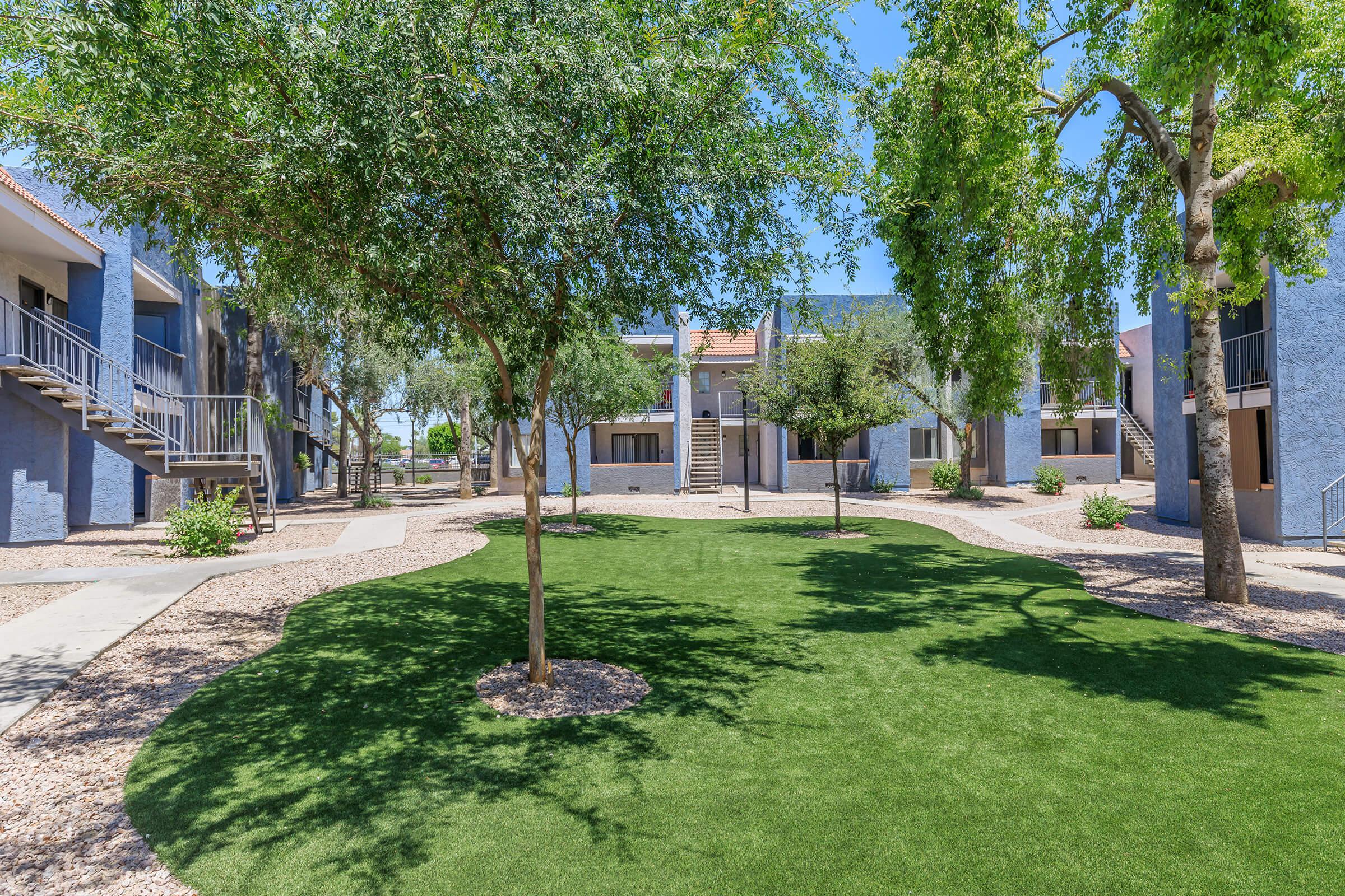 Grass courtyard with trees and shade in front of large apartment buildings