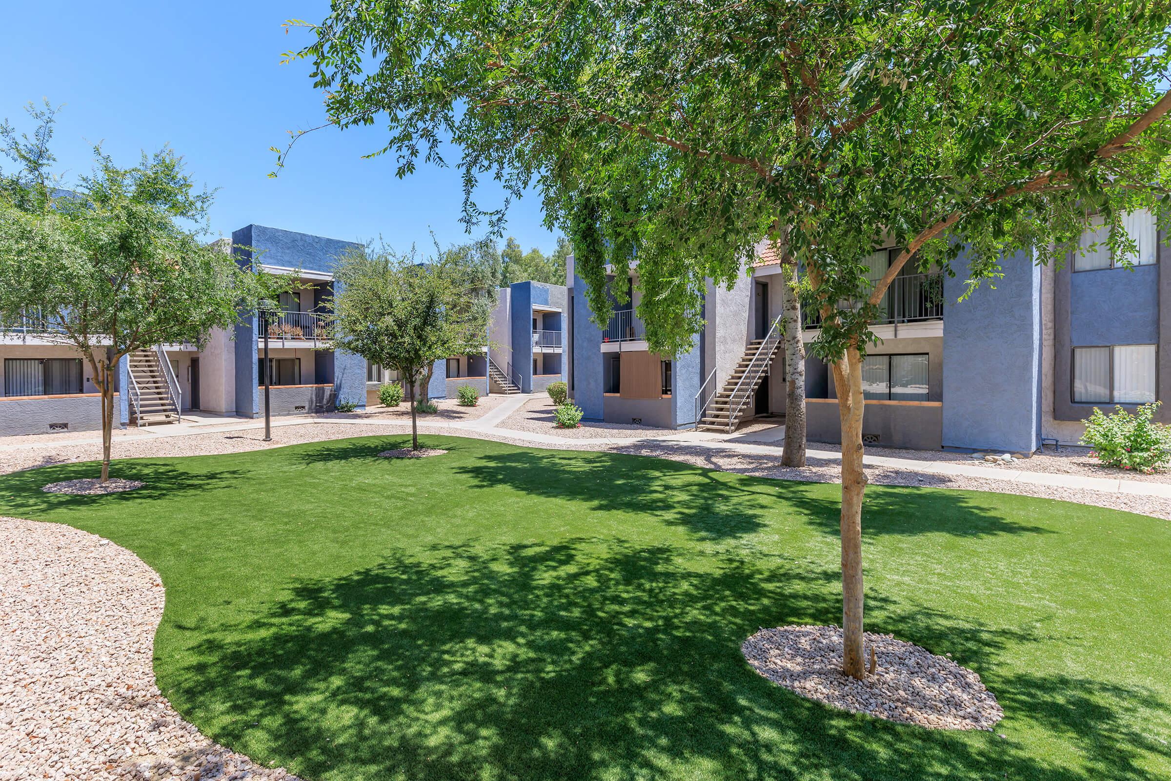 Grass courtyard with trees and shade in front of large apartment buildings at Rise Desert West 