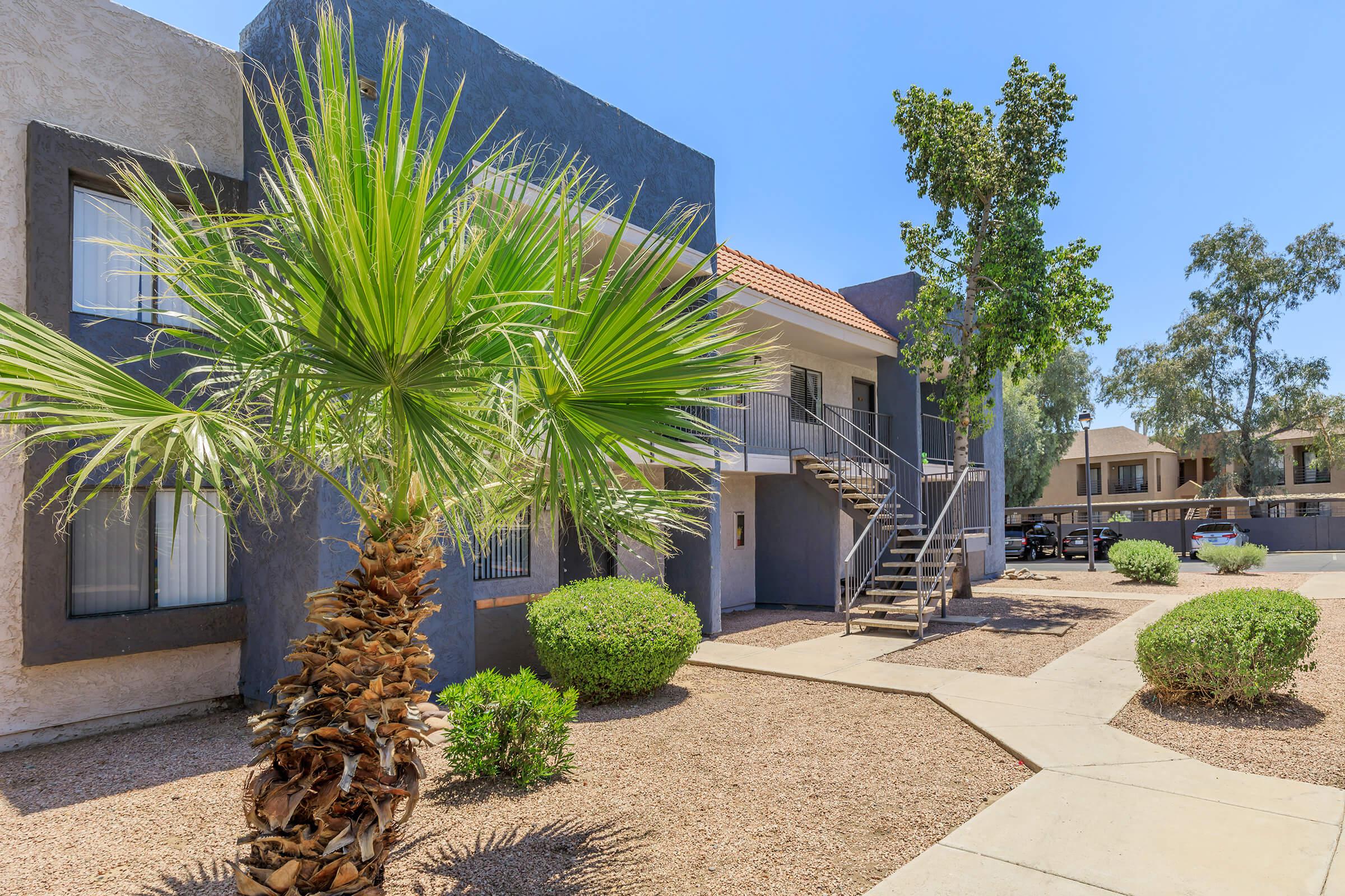 Outdoor pathways leading up to a large  two-story Phoenix apartment building with palm tree in the foreground