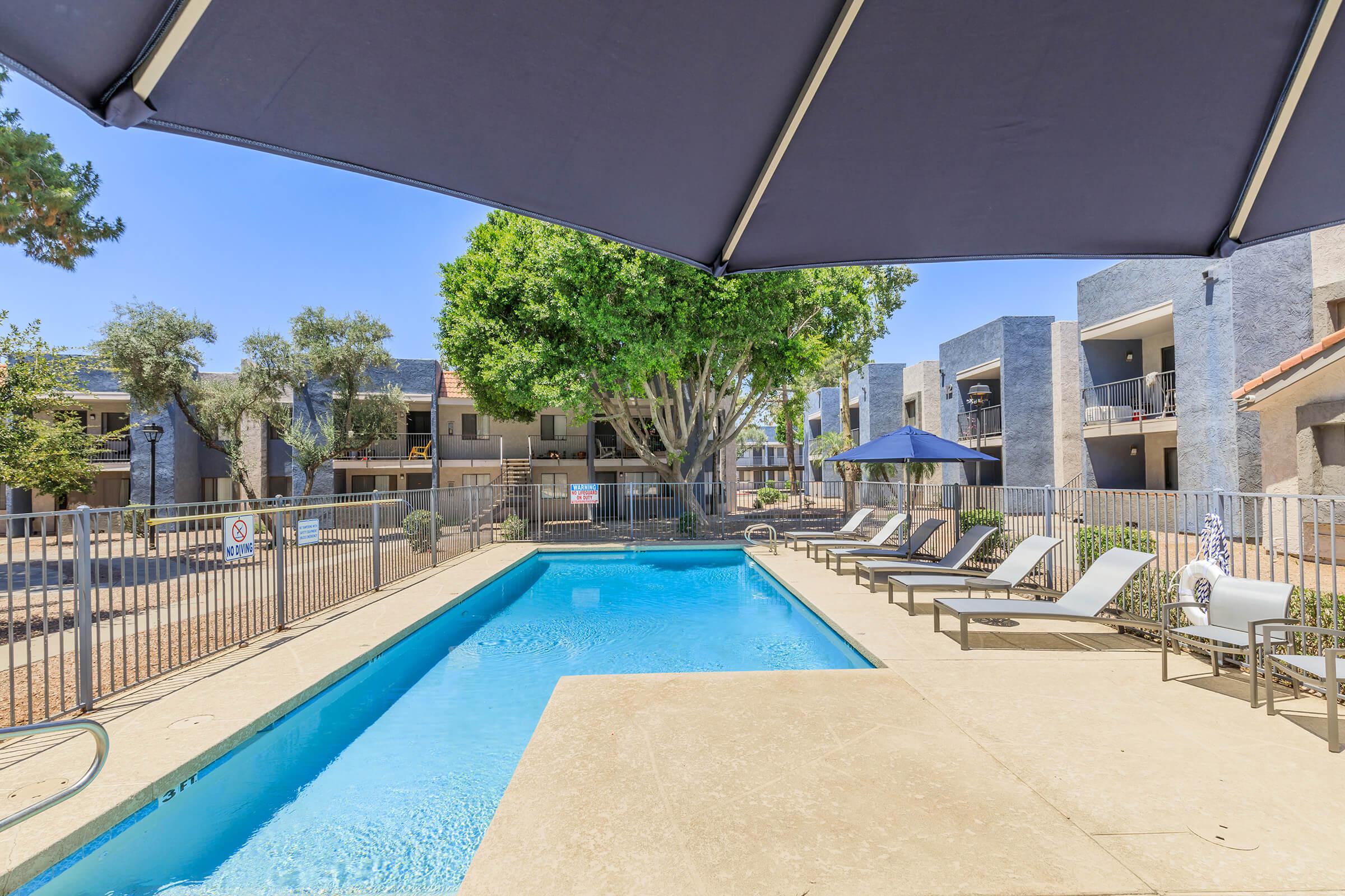 Outdoor swimming pool with built in lap station and pool deck chairs at Rise Desert West