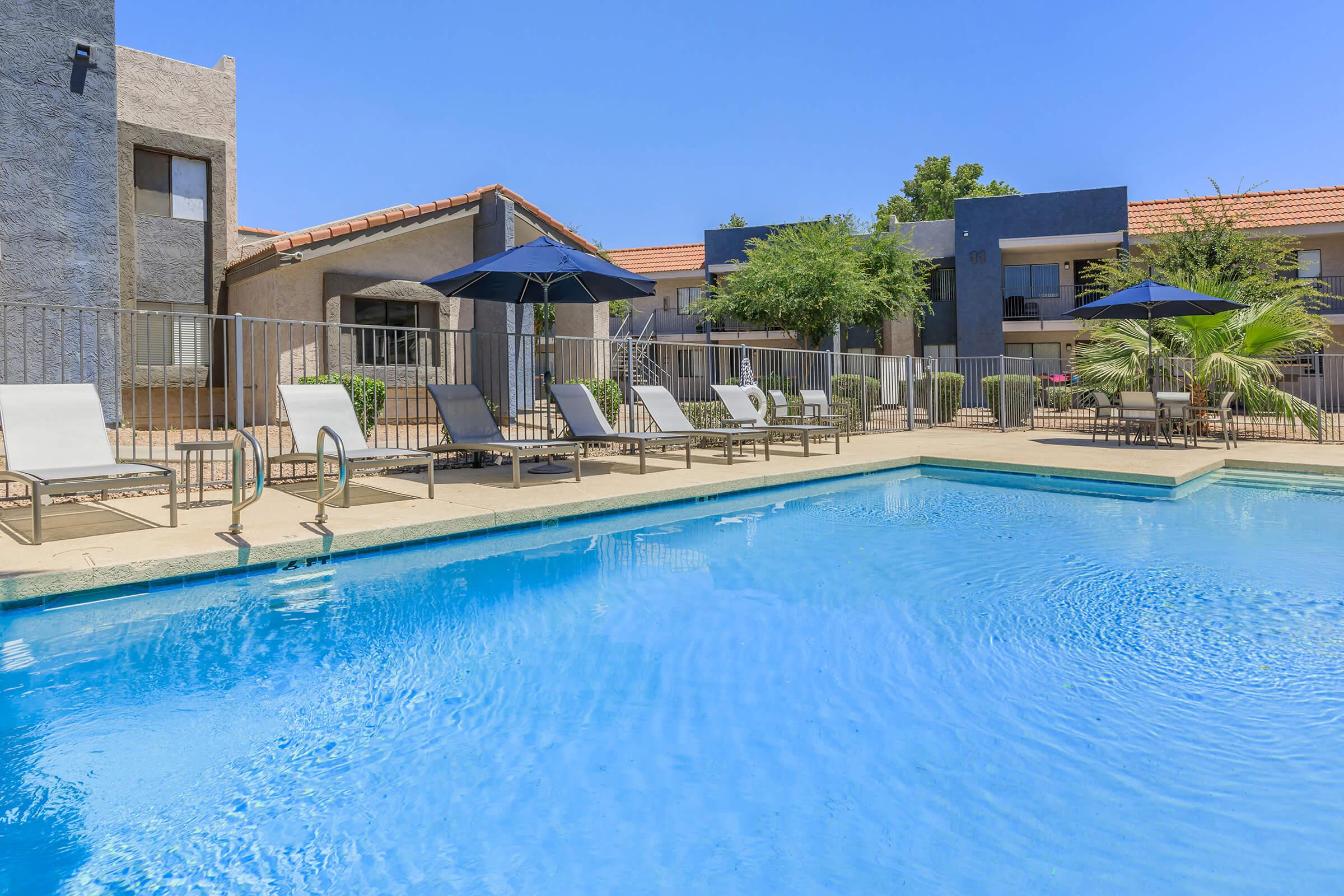 Rise Desert West's large blue outdoor swimming pool surrounded by pool chairs and large trees