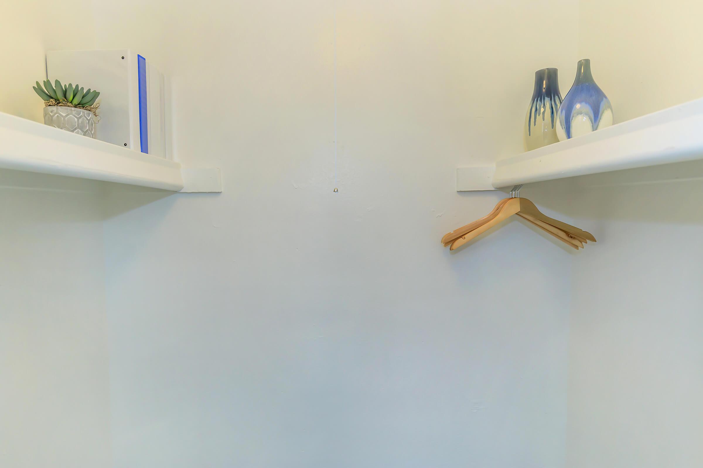 Walk in closet storage space with built in shelving