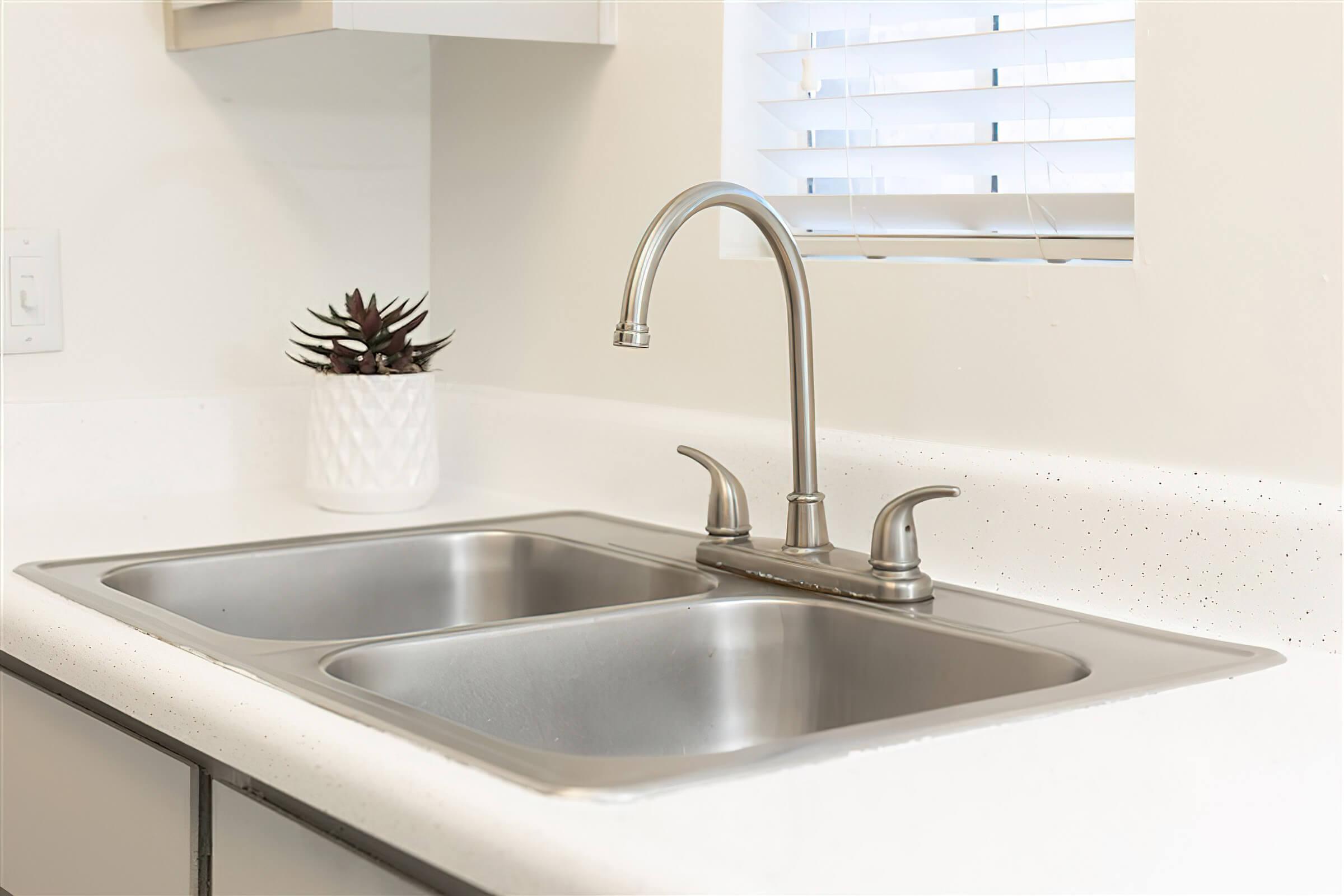 Close up view of a silver sink faucet next to a small plant