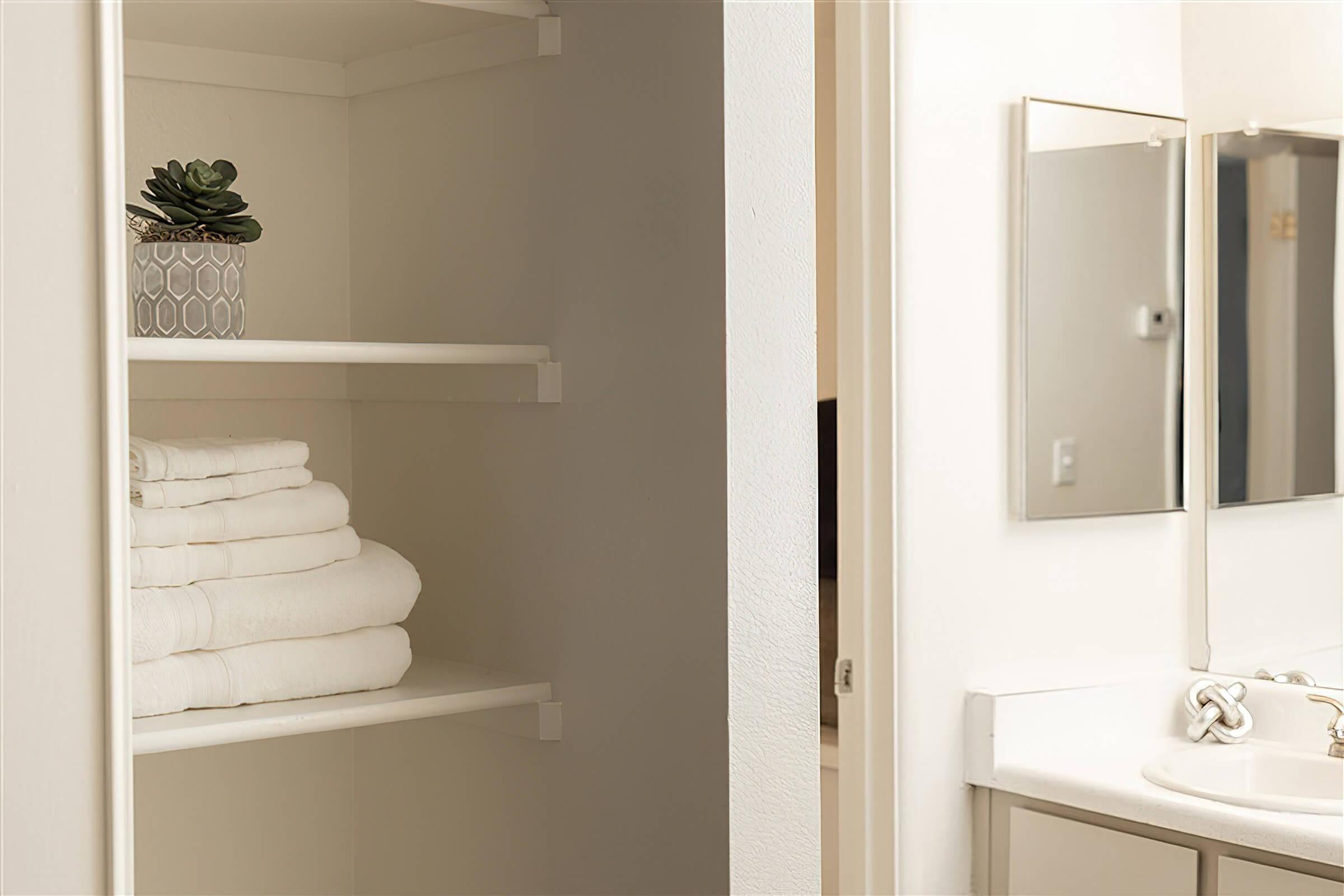 Closet storage with built in shelves next to a bright clean bathroom