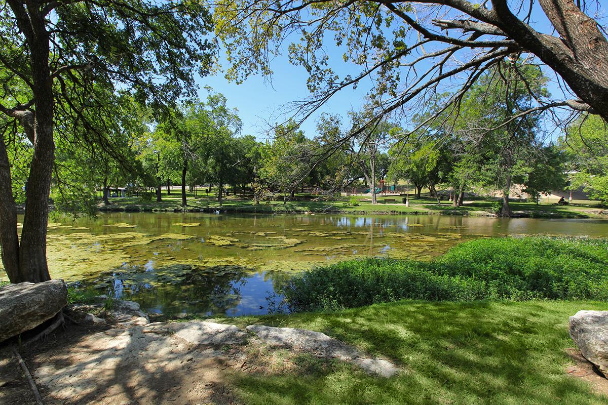 a small pond in a park