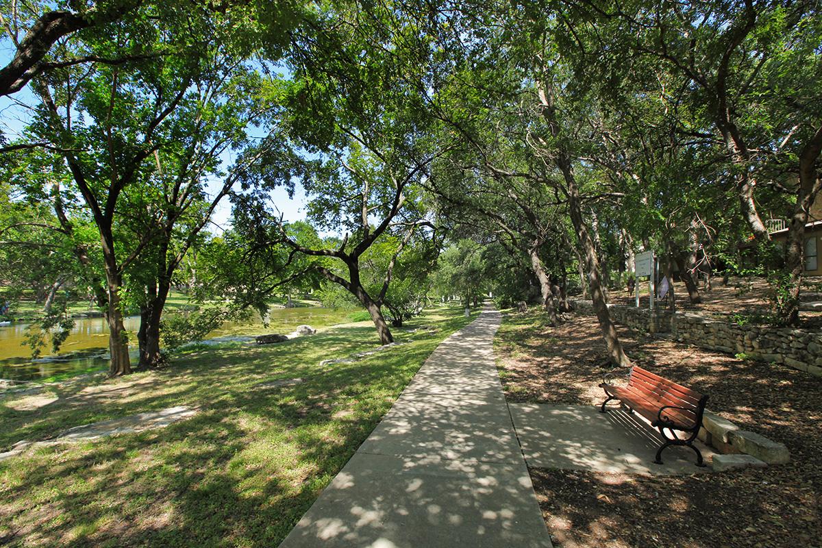 a park bench next to a tree