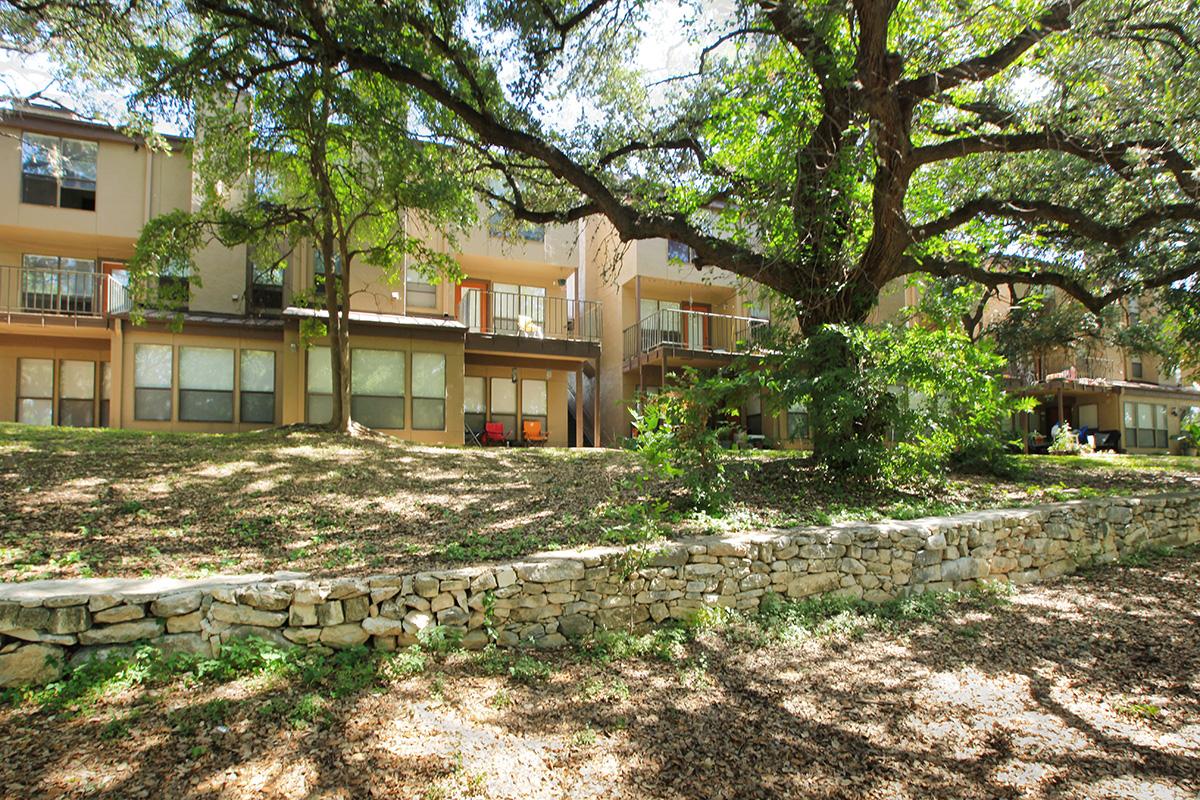 a tree in front of a house