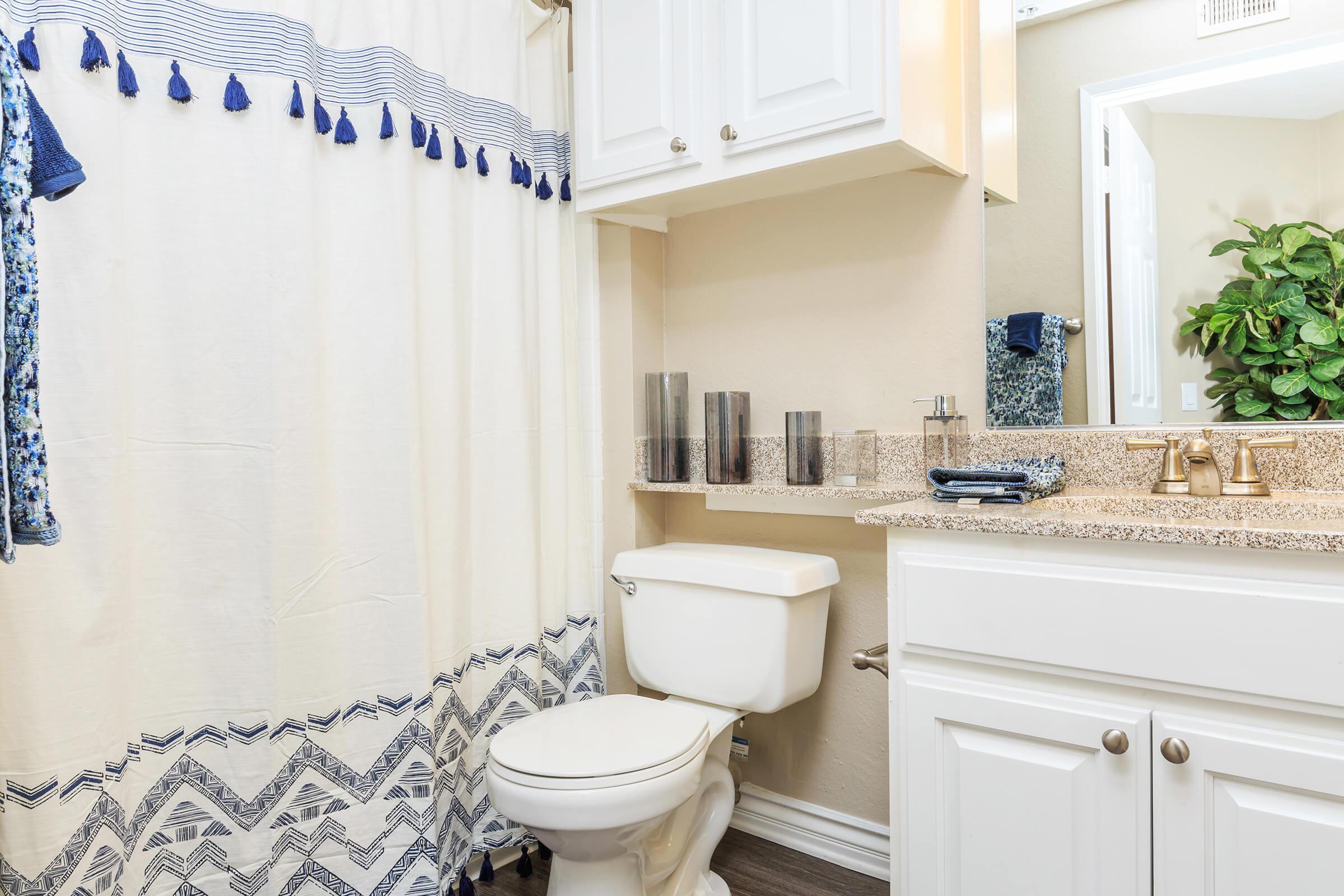 Bathroom with white and blue shower curtain