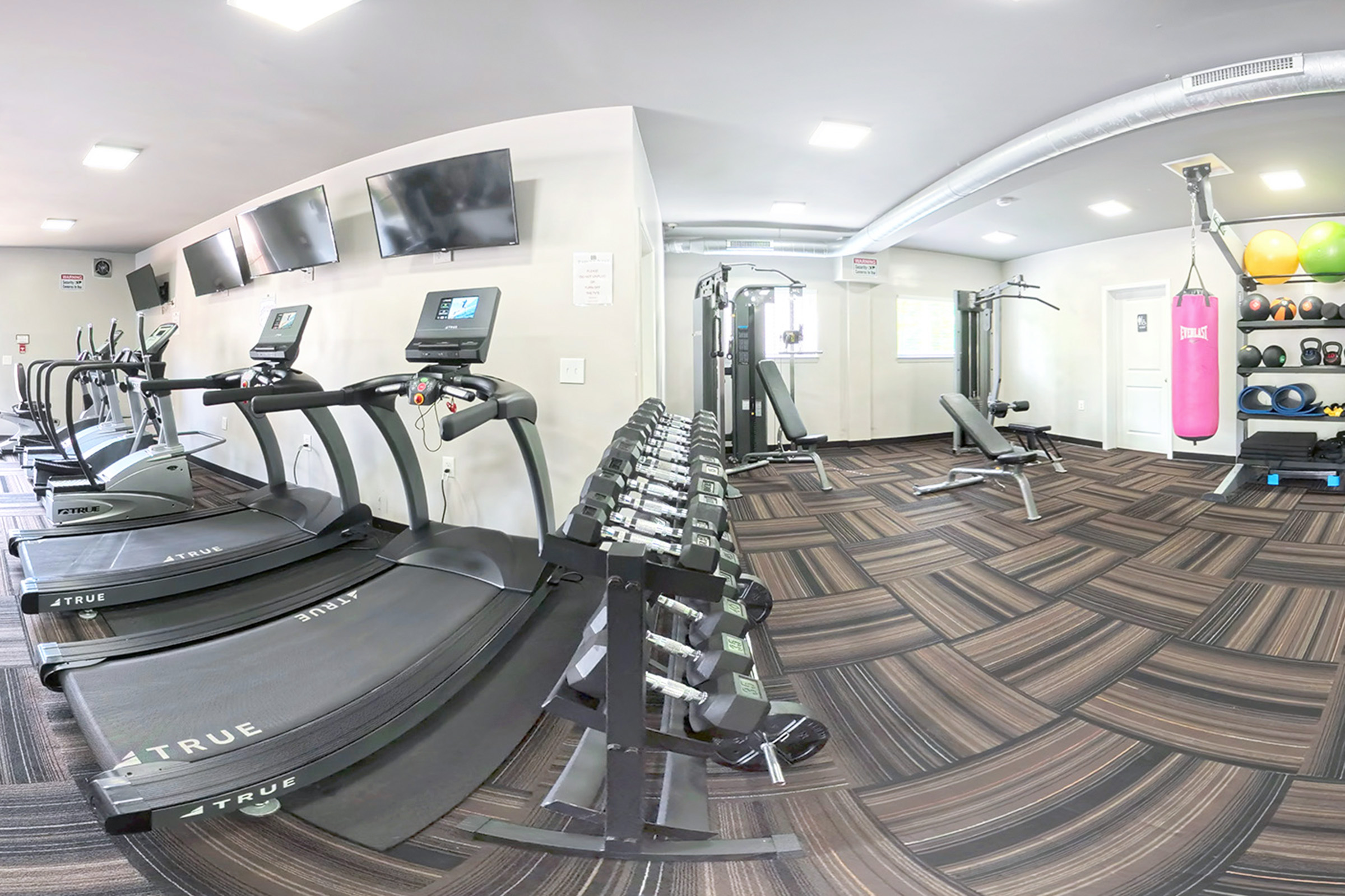 360 Tour