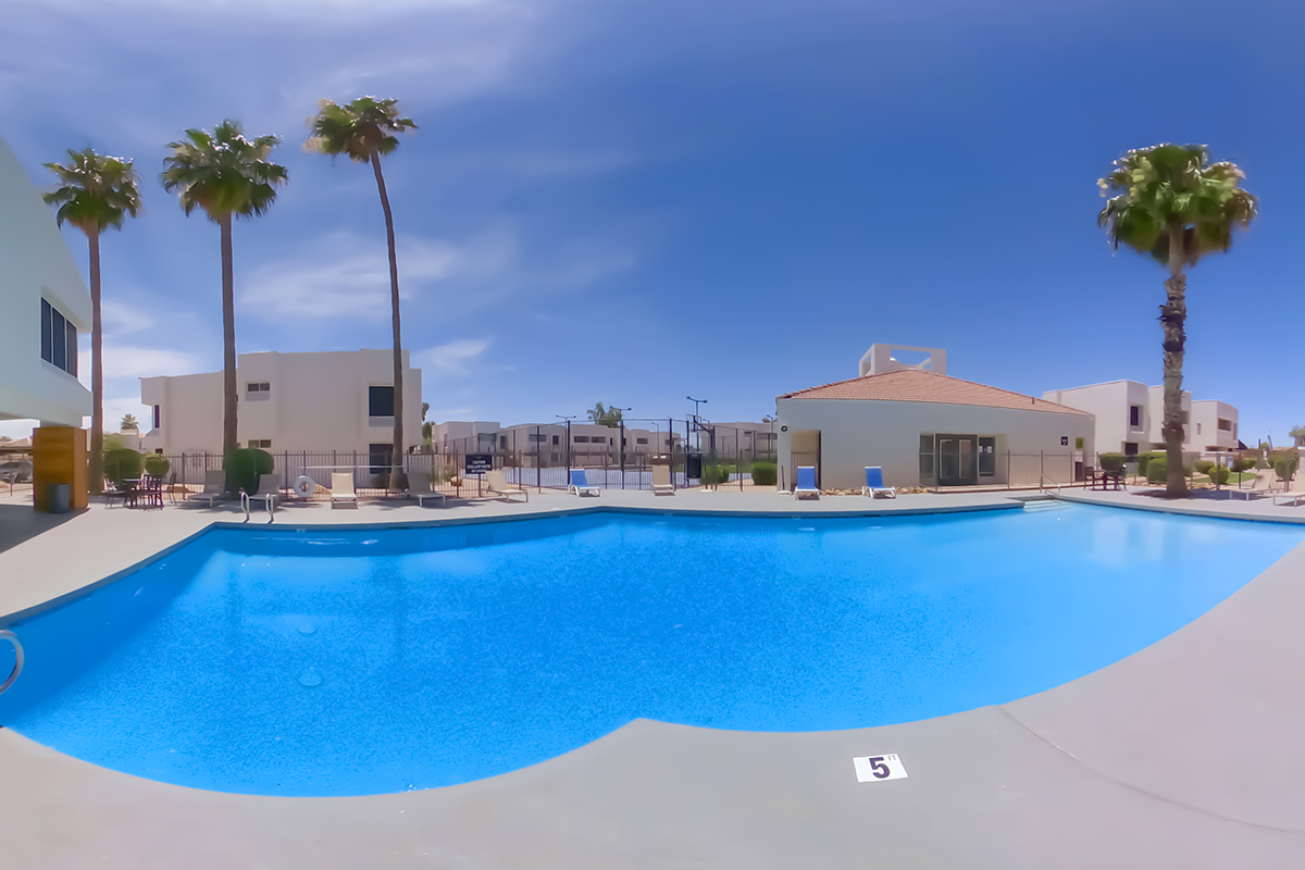 Panoramic pool view at Cove on 44th Apartments.